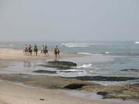 /international/2006Walvisbay/images/Final/thumbnails/final 006.jpg